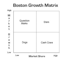 Bcg Matrix