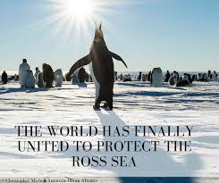 New zealand ministry of foreign affairs and trade and the pew charitable trusts. Penguins Of The World Can Celebrate Antarctic Ross Sea Marine Protected Area Approved By Ccamlr Linking Tourism Conservation