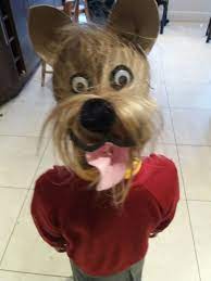 Crazy Hair Scruffy Dog Crazy Hair Wacky Hair Days Crazy Hair Days