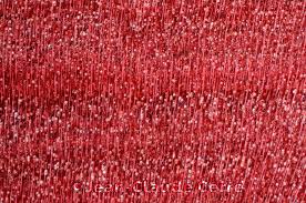 Image result for Berchemia zeyheri