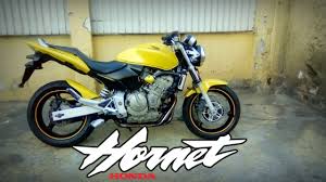 I still see my old. Hornet 160 250 600 900 919 Honda Cb Hornet Series Youtube