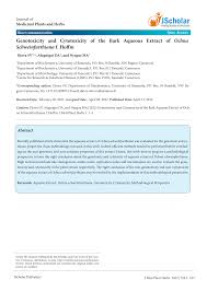 Image result for Ochna schweinfurthiana