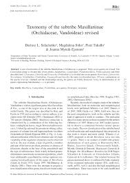 Image result for Microcharis spathulata