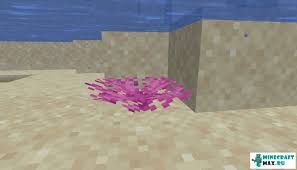 Maybe you would like to learn more about one of these? Fan Brain Coral Fan Corals How To Craft In Minecraft