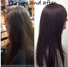 Image Result For Rich Dark Brown Hair With Dark Purple Tint Dark Brown Hair Rich Hair Tint Hair