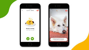 Ever wondered what your beloved pet gets up to when you're not there? Barkio Dog Monitor For Ios Android Macos And Windows