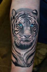 Small place but very friendly and professionals. Tiger Head Tattoo White Tiger With Blue Eyes Tattoo In Black And White New Tattoo Models White Tiger Tattoo Tiger Tattoo Tiger Tattoo Design