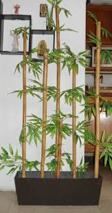 El bambú de la suerte o lucky bamboo, realmente no tiene nada que ver con el bambú pero recibe este nombre por la forma del tallo; Como Confeccionar Maceta Con Piedras Con Planta De Bambu Buscar Con Google Plantas De Bambu Plantas En Maceta Interiores De Casas Pequenas