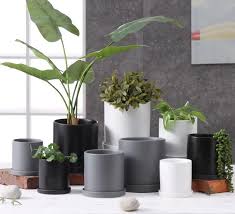 Homenote plant pots, set of 15 plastic planters with multiple drainage holes and tray 6 inch indoor plant pot for all home garden flowers succulents, matte black. Our Matte Ceramic Planter Is A Versatile And Useful Cylinder Planter The Plant Pot Features A Drain Hole And Saucer Flower Pots Ceramic Flower Pots Planters