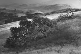 Black And White Gradient Create Powerful Black And White Photos With The Photoshop Gradient Map In 2020 Photoshop Photoshop Photography Black And White