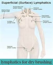 Specifically My Favorite Place To Dry Brush Is My Arm Pits There Are Lymph Nodes Located In Our Arm Pits That Wh Swollen Lymph Nodes Lymph Nodes Lymph Glands