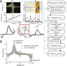 dopamine dosing chart 2019