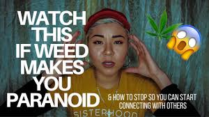 How to stop paranoid thoughts. Why Do I Get Paranoid When I Smoke Weed And How To Stop So I Can Start Connecting With Others Youtube