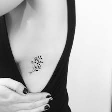 Matching rib tattoos for girls. Delicate Botanical Piece On Rib Cage By Ok Hidden Tattoos Ribcage Tattoo Cage Tattoos