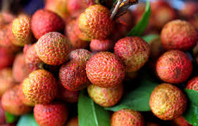 It comes from southern china. The Skinny On Exotic Fruit