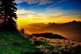 Here you can find the best 4k nature wallpapers uploaded by our community. Hd Nature Wallpapers Flowers Windows 10 Mac Wallpaper Download Hd Wallpapers For Windows 10 140284 Hd Wallpaper Backgrounds Download