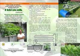 Bercocok Tanam Hidroponik Hidroponik Tanaman Petani