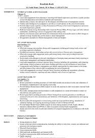 vp / audit manager resume samples