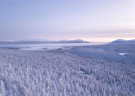 Finland på ditt språksvenska english finland oo ku qoran luqadaadasoomaali Polar Night Webcam Shows Off Magic Of Northern Finland House Of Lapland
