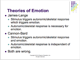 We did not find results for: Can Someone Explain Why Are Both The James Lange And Chegg Com