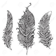 Sehr schöne schwarz weiß schmetterling stockfoto. Hand Gezeichnet Stilisierte Federn Schwarz Weiss Vektor Sammlung Set Von Doodle Stammes Zierpflanzen Federn Lizenzfrei Nutzbare Vektorgrafiken Clip Arts Illustrationen Image 45672346