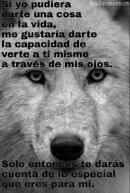 X Su Puesto Frases De Sabiduria Frases De Lobos Frases Motivadoras