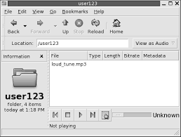Ncdu zeigt den speicherplatzverbrauch von ordner und dateien im terminal an. Andern Des Erscheinungsbildes Von Dateien Und Ordnern Gnome 2 2 Desktop Auf Linux Benutzerhandbuch