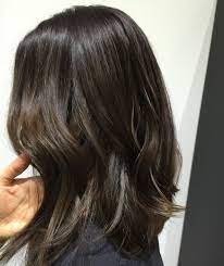 Subtle Brown Balayage Hair Color Asian Hair Styles Brunette Hair Color