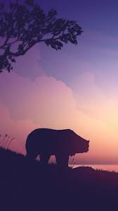 965 bear hd wallpapers and background images. Grizzly Bear Minimal Sunset Iphone Wallpaper Iphone Wallpapers Sunset Iphone Wallpaper Iphone Wallpaper Vector Nature Iphone Wallpaper