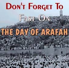 The best of supplications is the supplication on the day of aaarafah and the best which i and the prophets before me have said (is): Arafat Wonderful Arafat Day Islam Peace Arafat Day Dua Allah Hajj
