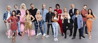 The new eye logo was released before the premiere as a preview of the new aesthetic. Promi Big Brother 8 Big Brother Wiki Fandom