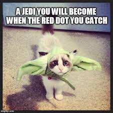 Funny Star Wars Cats Star Wars War And Fans On Pinterest Star Wars Humor Star Wars Facts Star Wars Memes