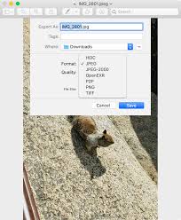 Fix Certain Photos Not Loading In Icloud Drive By Converting Them Icloud Photo Editing Apps Photo