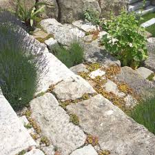 Steine Pragen Den Garten In 2020 Natursteine Steine Garten