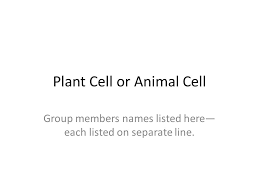 Animal and plant cell kahoot. Plant Cell Or Animal Cell Ppt Video Online Download