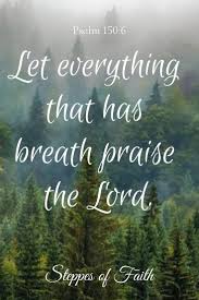 Let Everything That Has Breath Praise The Lord Bible Verse Praise God In His Sanctuary Praise Him In His Mighty Firmament Praise Him For His Mighty Acts Praise Him A Worship Quotes Scripture Quotes Scripture Verses