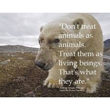 What Inspires Animal Quotes Save Animals Animals