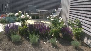 Pin By Andrea Sinclair Garden Design On Gardens Designed By Andrea Garden Design Plants Design