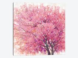 Cherry blossom canvas wall art. Pink Cherry Blossom Tree Ii Canvas Wall Art By Tim Otoole Icanvas