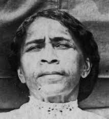 Elvira Bird's Instagram, Twitter & Facebook