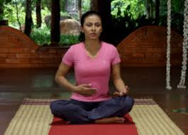 (goldenseal is another supplement you can use to help relieve congestion in. 8 Amazing Yoga Poses Let You To Stop Snoring The Art Of Living India