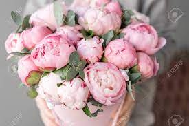 Check spelling or type a new query. Pink Peonies In Womans Hands Beautiful Peony Flower For Catalog Or Online Store Floral Shop Concept Beautiful Fresh Cut Bouquet Flowers Delivery Stock Photo Picture And Royalty Free Image Image 123641559
