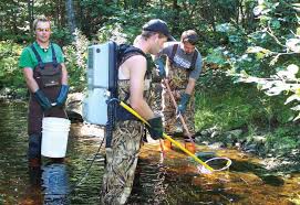 The Canadian Rivers Institute