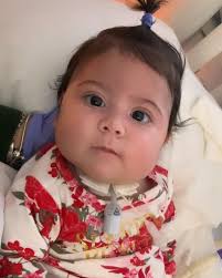 Citlali Bustamante Obituary December 5, 2023