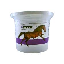 Pet service in tuerong, victoria. 4cyte Equine 700gm Universal Vet Suppliers For Horse And Camel Racing
