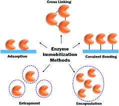 Currently, winning moves games usa publishes the game in the usa. Process Intensification Using Immobilized Enzymes For The Development Of White Biotechnology Catalysis Science Technology Rsc Publishing Doi 10 1039 D1cy00020a