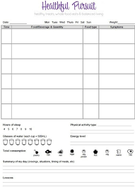 Food Journal Template 2 Food Journal Printable Food Diary Template Food Journal Template