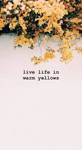 Yellow Yellow Flower Quotes Love Yellow Quotes Color Quotes