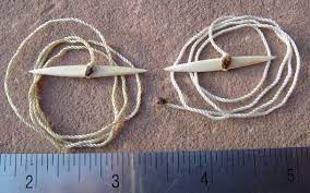 Bone Gorge Hooks Definitely The Easiest Type Of Fishing Hook To Make Survival Fishing Survival Primitive Survival