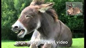 مؤتمر الحمار الوطني انشر و افضح و خلي الشعب يضحك نطق لسانه بما في قلبه Youtube
